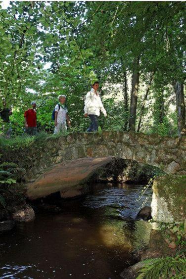 Gite La Loussaudrie Pontmain Εξωτερικό φωτογραφία